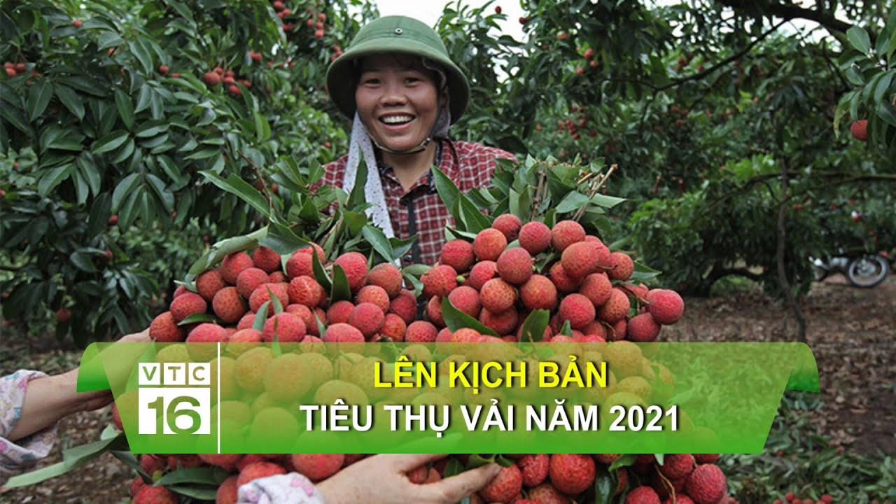 HLV đội vô địch Thái Lan chỉ đạo Bunmathan đối phó riêng Quang Hải