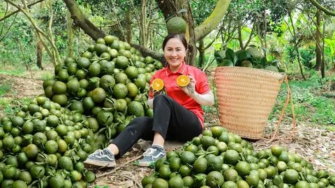 Trực tiếp bóng đá Hải Phòng 2-1 Thanh Hóa: Ribamar lập công