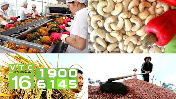 Hotspot Matrix: Biến Loài cá kỳ lạ nhất châu Phi: thành cơ hội marketing đột phá_Khởi nghiệp