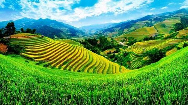 Hotspot Matrix: Giảm Thiểu Chi Phí, Tối Đa Hóa Lợi Nhuận Trong Ngành Video Ngắn